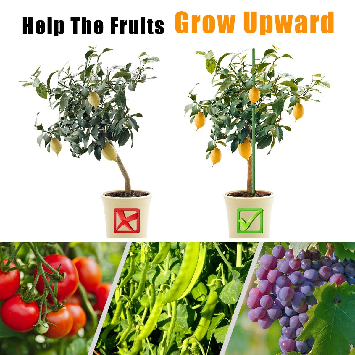 LAVEVE Garden Stakes 58 Inches Heavy Duty Steel Tomato Stake, Plastic Coated Support for Securing Trees, Climbing Plants, Cucumber, Beans, Pack of 20