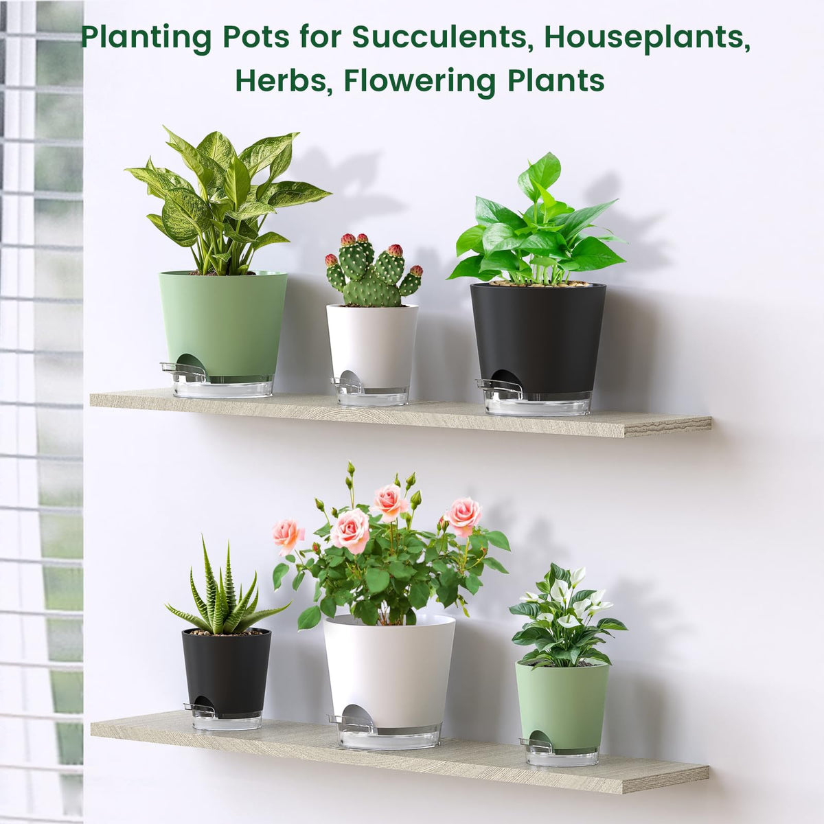 Meowell 6 inch Self Watering Pots for Indoor Outdoor Plants, 3 Pack Flower Plant Pots with Drainage Holes and Clear Reservoirs, Visible Water Level, Plastic Planters with Wicking Rope, Green