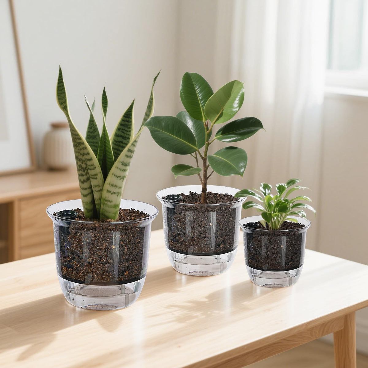 IWNTWY Plant Pots 6 inch Set of 3, Self Watering Pots for Indoor Outdoor Plants Flowers, Self Watering Planters with Reservoir, Drainage Hole and Absorbent Cotton Rope (3 Large)
