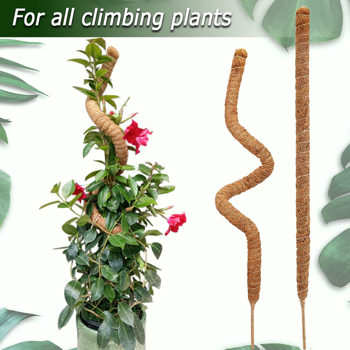 Tall Moss Pole Set, 48” and 60” Bendable Moss Pole for Plants Monstera, Moss Poles for Climbing Plants Indoor, Large Coco Coir Plant Pole Sticks Support Stakes for Potted Plants, Pothos
