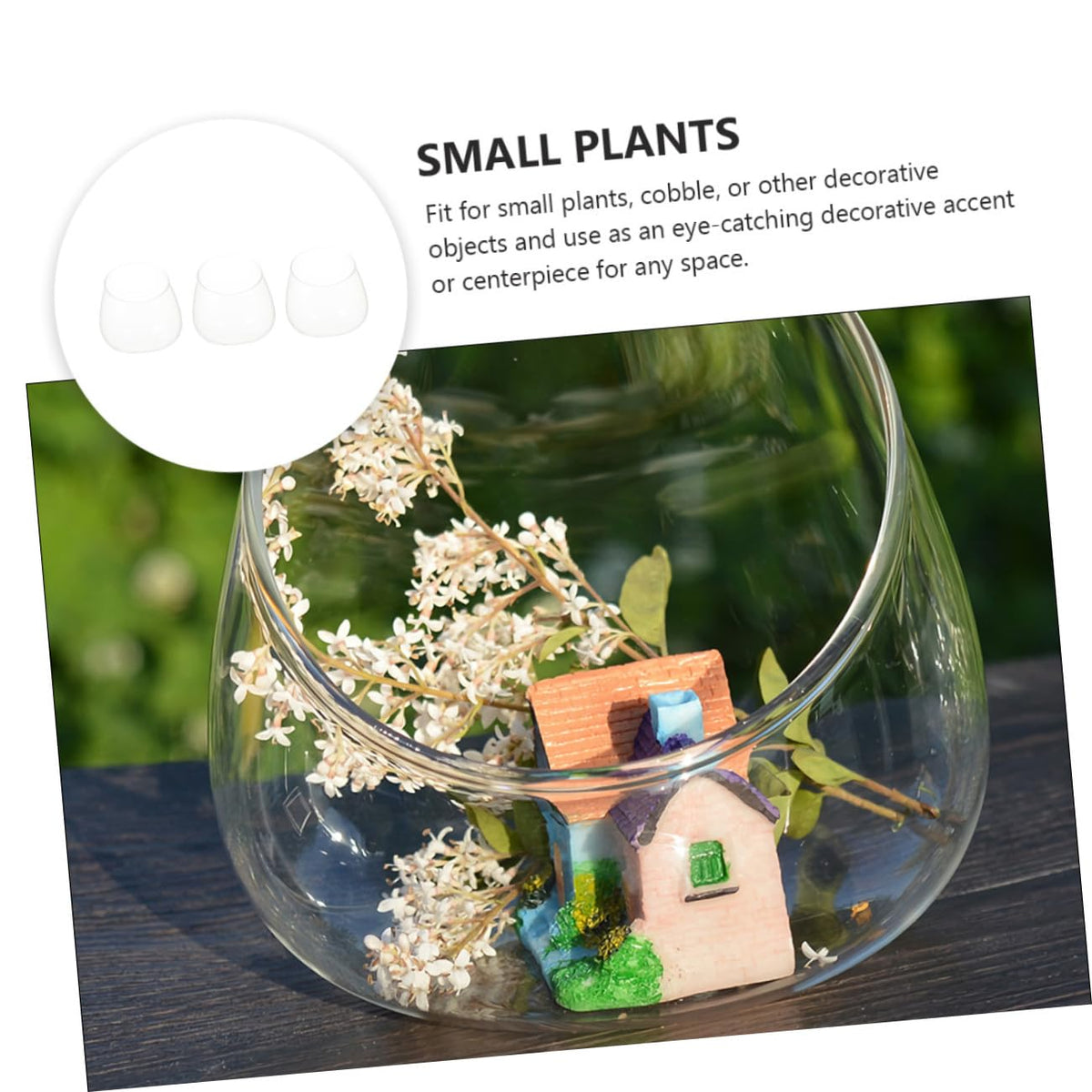 HOMOCONO 3pcs Slant Cut Glass Micro Landscape Bottle Ecological Terrarium Vase for Succulent Plants Desktop Tabletop Decoration