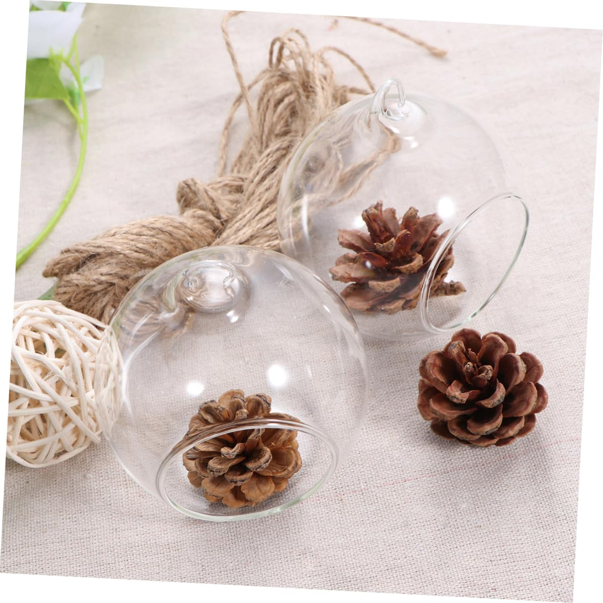 Cabilock 6pcs Clear Hanging Glass Vases Flat Base Design for Succulents and Plants for Terrarium Displays and Wedding Decor Lightweight Borosilicate Glass