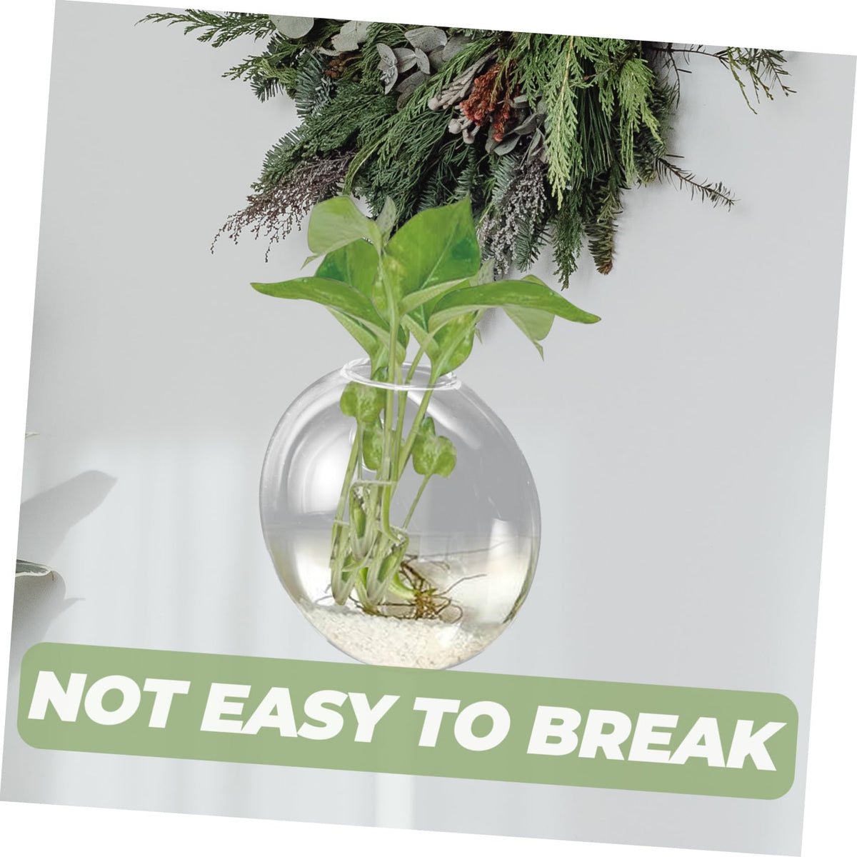 Hemobllo Wall Mounted Glass Hydroponic Vase for Plants Glass Terrarium Container Easy to Use Wall Hanging Planter for Home Office Garden Decoration