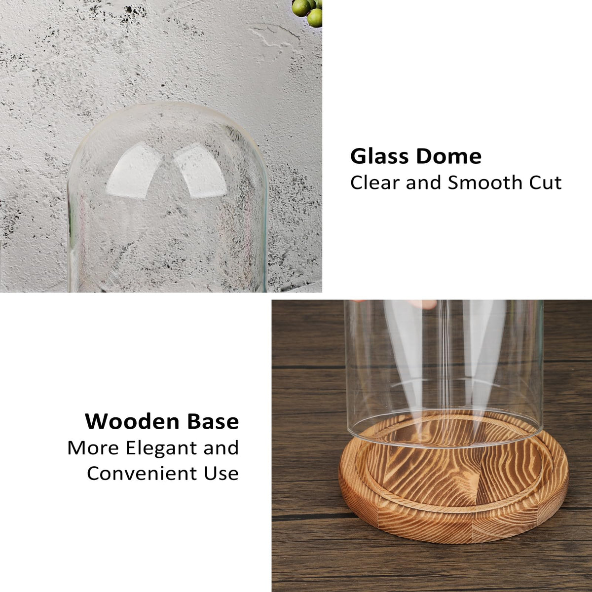 JUXYES Glass Display Dome Cloche with Solid Wood Base, Clear Dome Bell Terrarium Jar Glass Cloche Bell Jar Display for Plants, Collectibles and Figurines