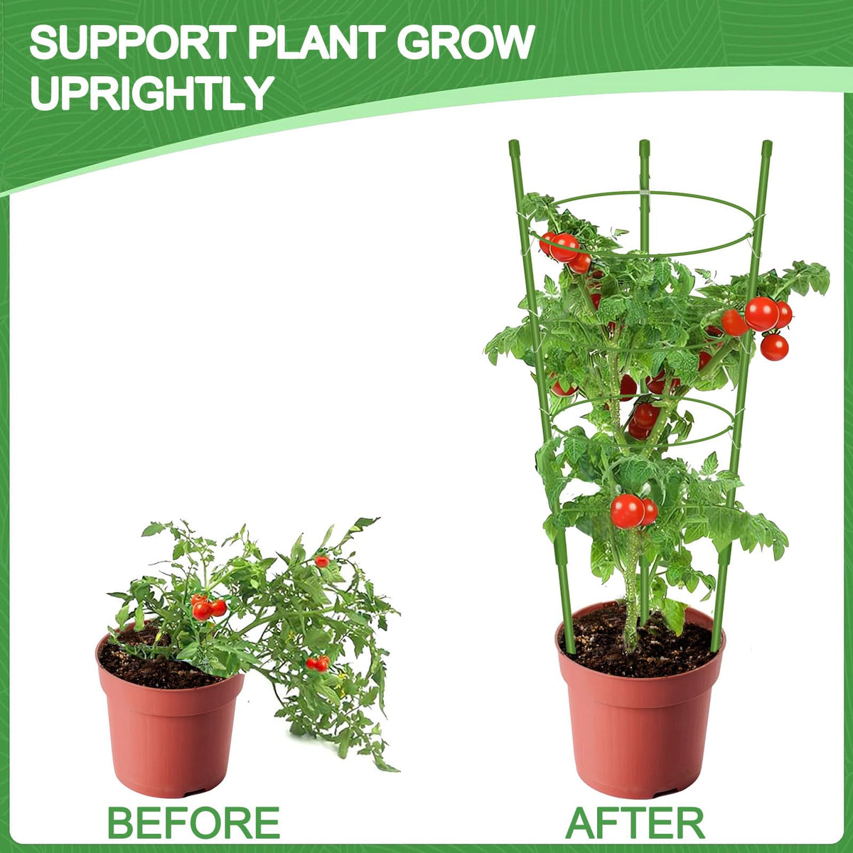 KLS 3 Pack Tomato Cage for Pots Plant Support, Upgrade 36 Inches Tomato Cages for Garden, Pepper Cage Trellis Kit with Plant Tie and Clips (36")