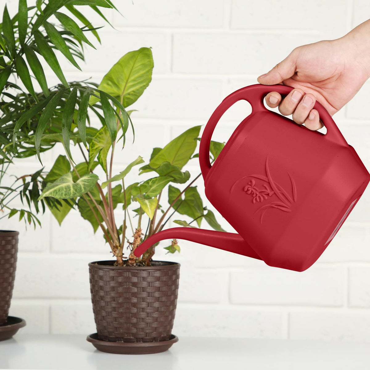 ZXJ Plant Watering Can - for Indoor and Outdoor Home Garden Plants - with Long Spout - Wine Red - 1/2 Gallon