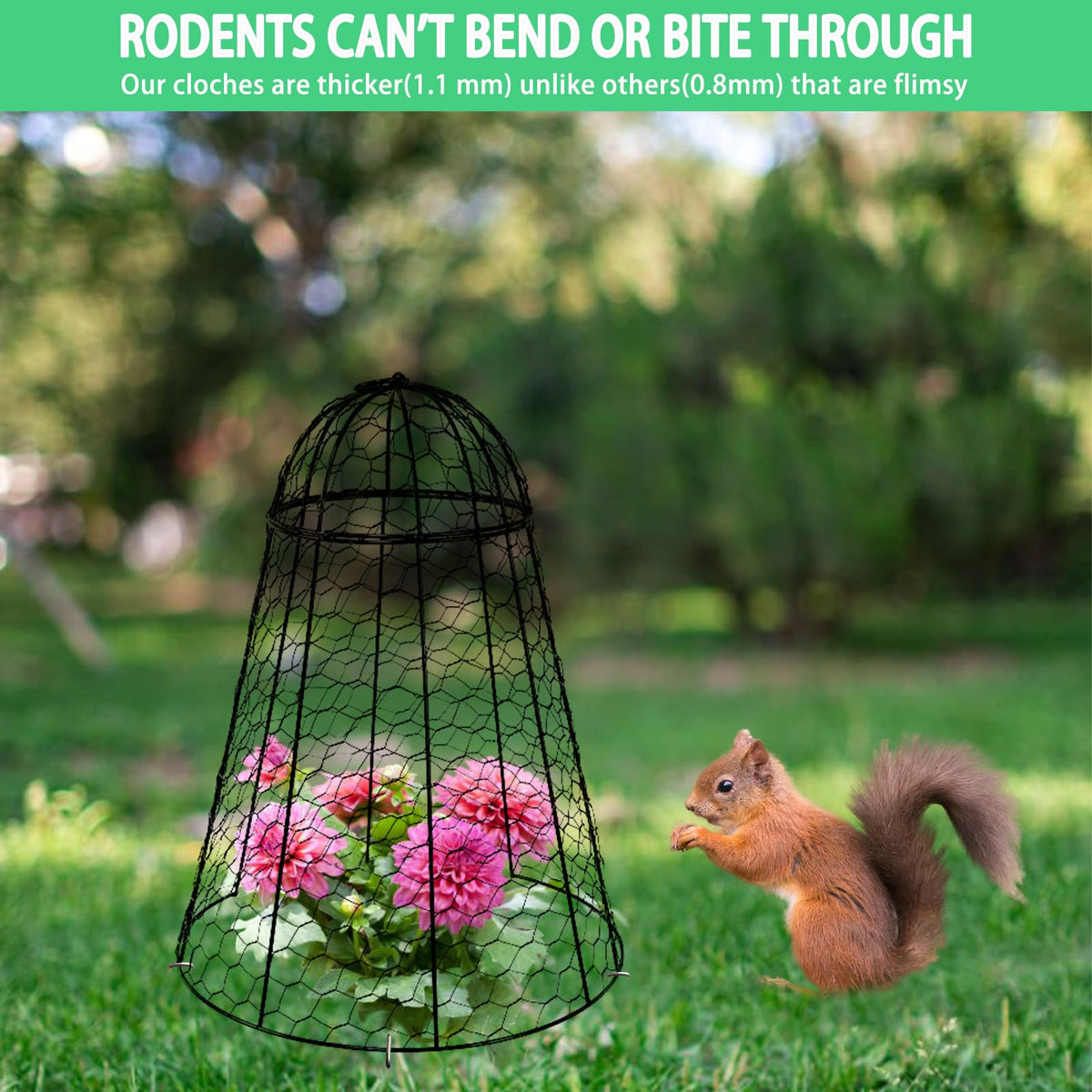 Garden Cloches for Plants Extra Large Sapbontchi Garden Cloche Chicken Wire Cloche for Plants Cages Cover Plant Protectors from Animals in Outdoor Vegetable Garden Set of 6 Plant Cloche 20" H x 12" D