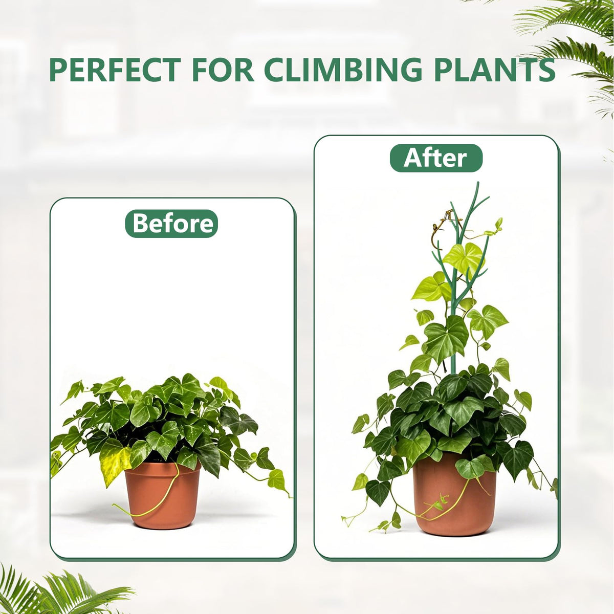 Ruksifg 51 Inch Height Adjustable Plant Sticks Support Tall,Monstera Plant Support Stakes with Extension Poles, Plant Clips, Plant Ties Plant Support for Monstera Plants, Climbing Plants (6 Pack)