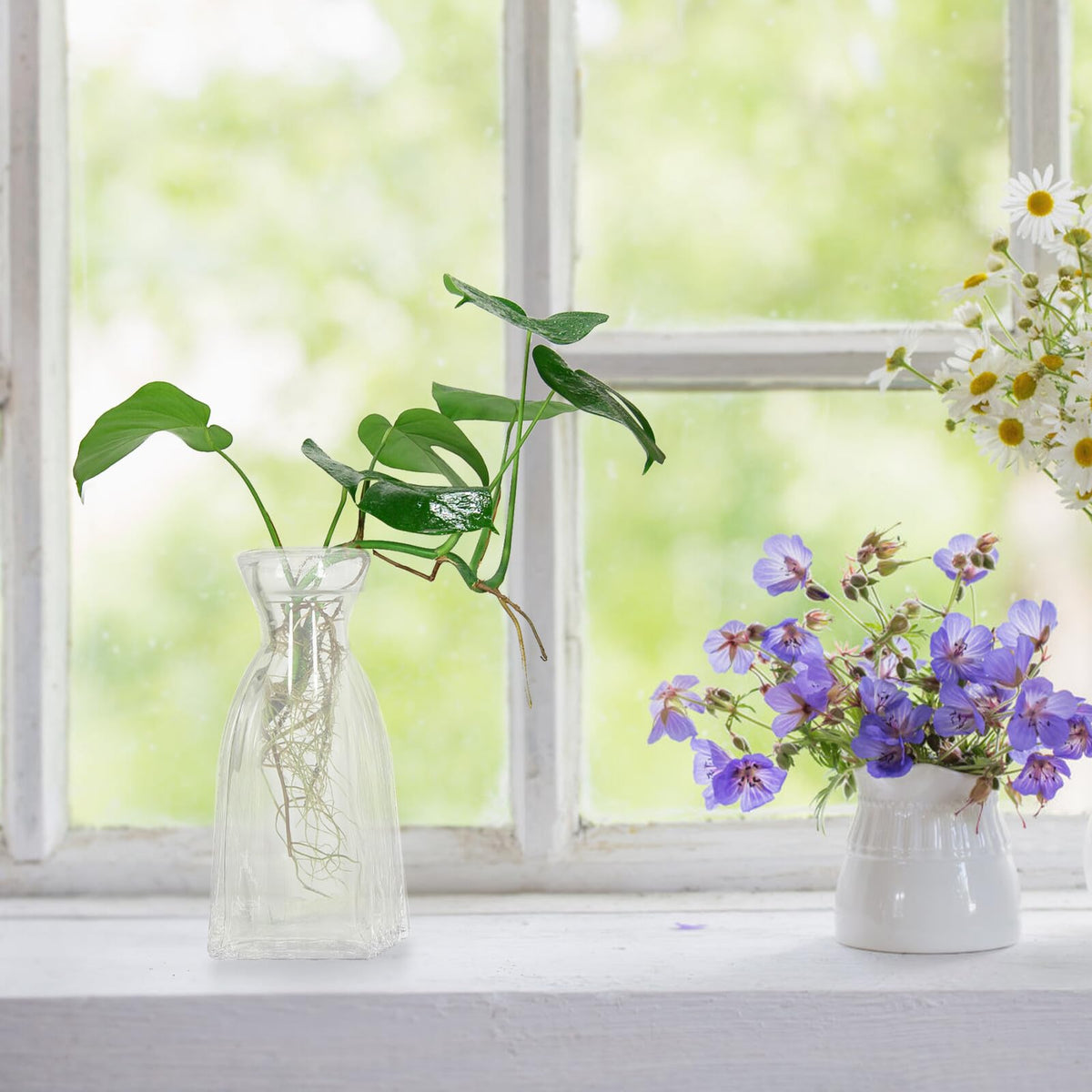 SUPVOX 4pcs Small Glass Hydroponic Vases Decorative Desk Flower Vases for Table Centerpieces Home Décor Glass Plant Terrarium Bottles
