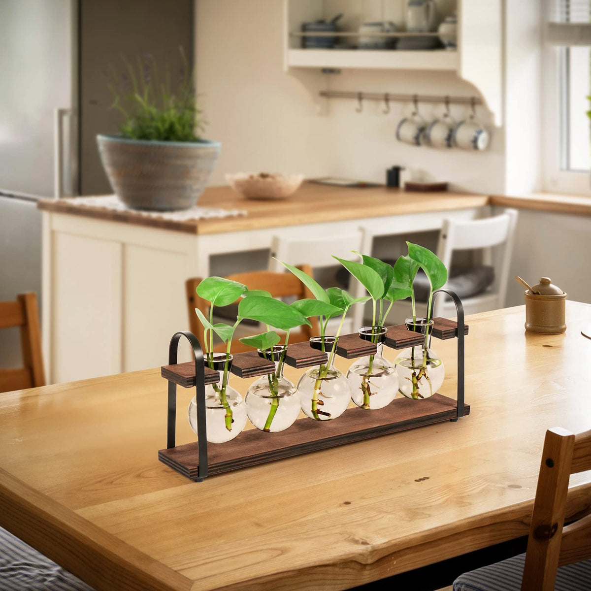 THYGIFTREE Plant Propagation Stations with Wooden Stand, Desktop Retro Plant Terrarium Bulb Vase for Indoor Hydroponic Flowers, Tabletop Glass Planter Housewarming Gifts for Plant Lovers