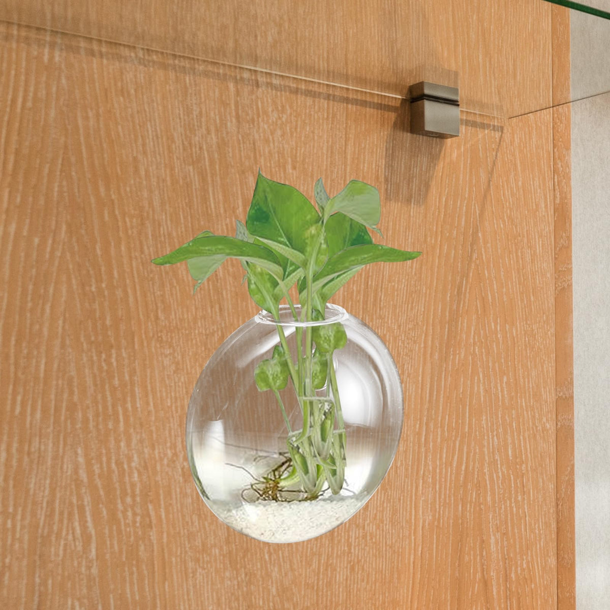 GALPADA Wall Hanging Hydroponic Glass Terrarium Planter Vase Flat Glass Plant Pot for Indoor Home Décor, Single Piece