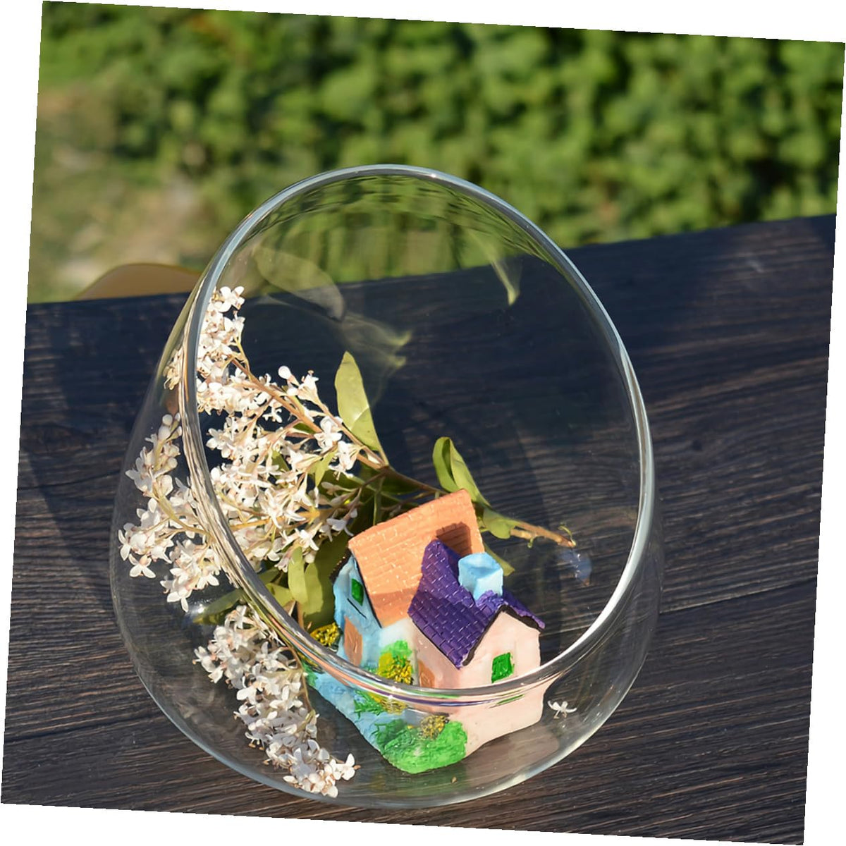 TIDTALEO 3pcs Slant Cut Glass Bottles Ecological Terrarium Vases for Succulent Plants Desktop Micro Landscape Decoration