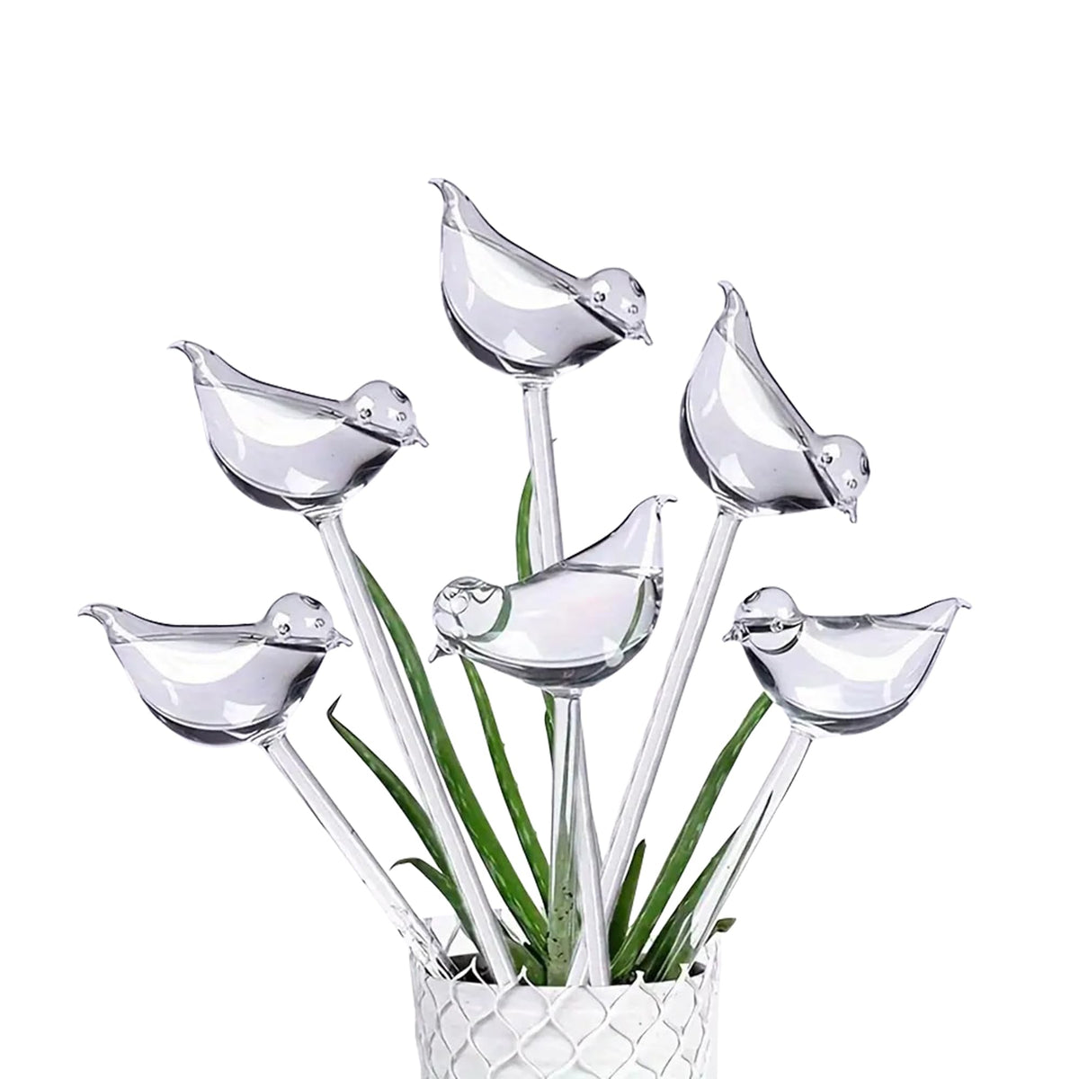 ZHUSSZHU 6 Small Handmade Bulbs PottedPlants Water Home Indoor-Outdoor GardenPatio Hanging Flower Spikes DecorationAutomatic Irrigation System (not Glass)