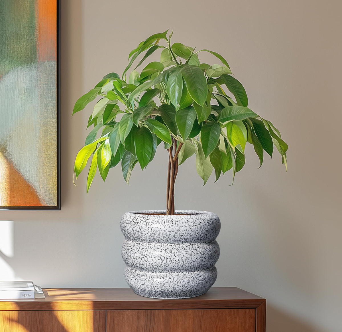 SQOWL Ceramic Pots for Plants - 8 Inch Plant Pot with Drainage Hole, Round Planter for Indoor Plants, Ceramic Flower Pots Outdoor, Modern Planter, Room Decor, Gifts for Plant Lover, Black and White
