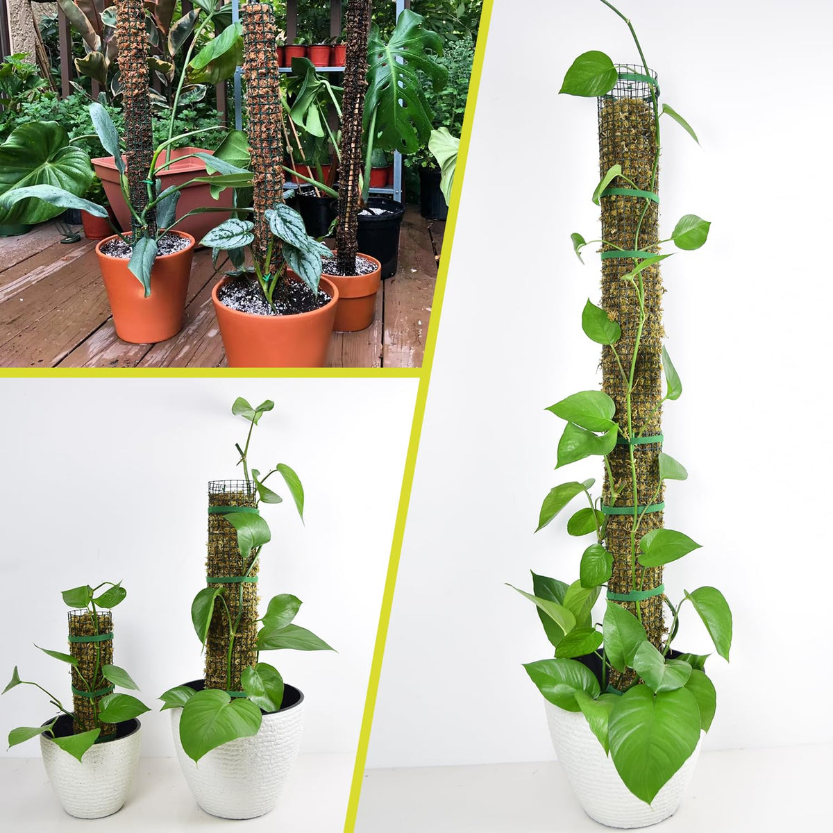 HOLANHING 4 Pack Metal Moss Pole, 40" Moss Poles for Plants Monstera, Stackable Sphagnum Moss Pole for Plants Work with Sphagnum Moss(4 Pack 40")