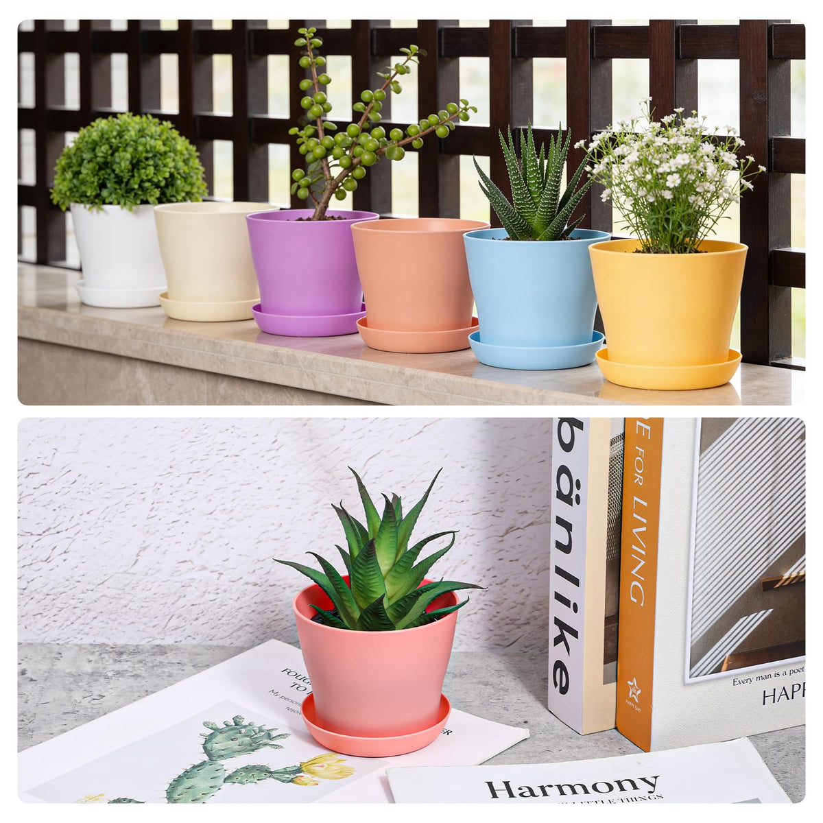 PercyEffie 50 Pack 4 Inch Plant Pots, Bulk Small Plastic Planters with Drainage Holes and Saucers Flower Pot for Flowers, Succulent, Cactus, Seed Starting Pots, Colorful