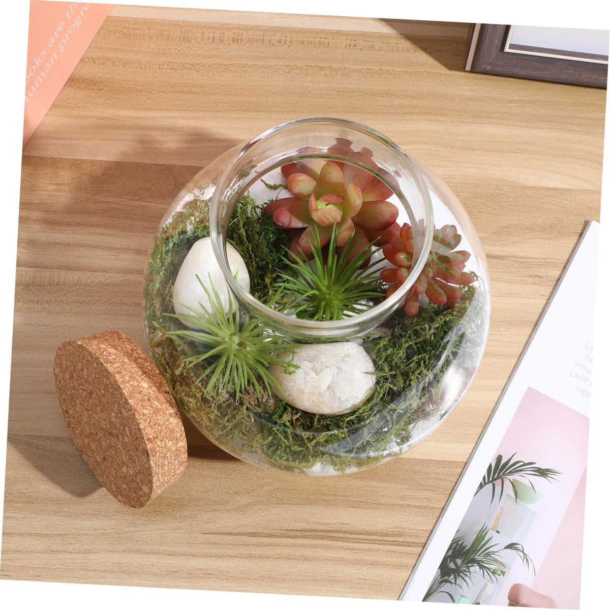 BESPORTBLE Glass Moss Bottle Empty Glass Jar Moss Crafts Home Decor Plant Terrarium