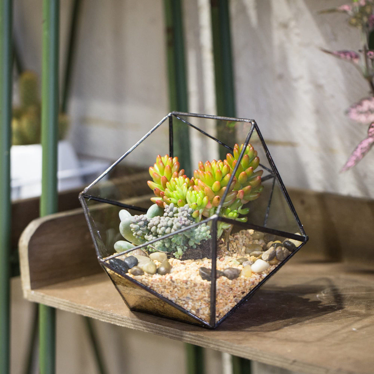 NCYP Opened Geometric Glass Terrarium, 6.69" Bowl Shape Planter for Succulent Plant Cacti, Indoor Balcony Irregular Decor, Garden Miniature Pot, Tabletop Centerpiece (No Plants)