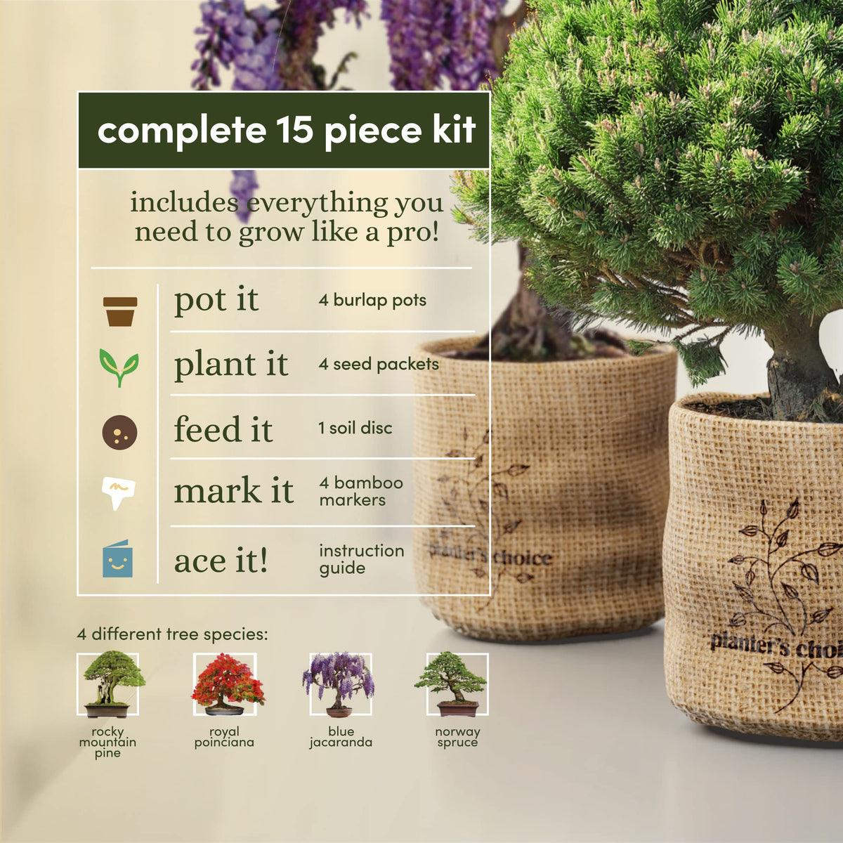 Planter's Choice Bonsai Tree Kit for Beginners & Plant Lovers - Grow Your Own Bonsai from Seed, 4 Species Starter Kit with Burlap Pots, Shears, Soil Disc, Markers & Guide, Gift for Mom or Grandma