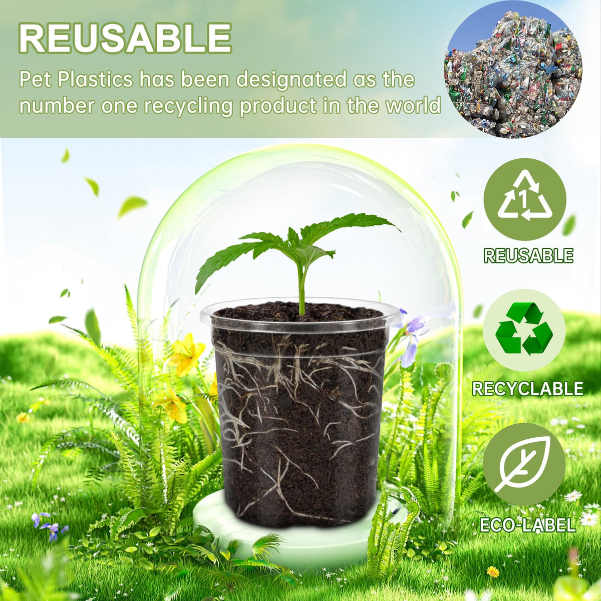WandaQueen 30 Packs 3.5 Inch Reinforced Clear Nursery Pots for Plants with Drainage Holes, High Transparency Planting Plastic Seedling Pots, Seedling Planter Seed Starter with 20 Plant Labels