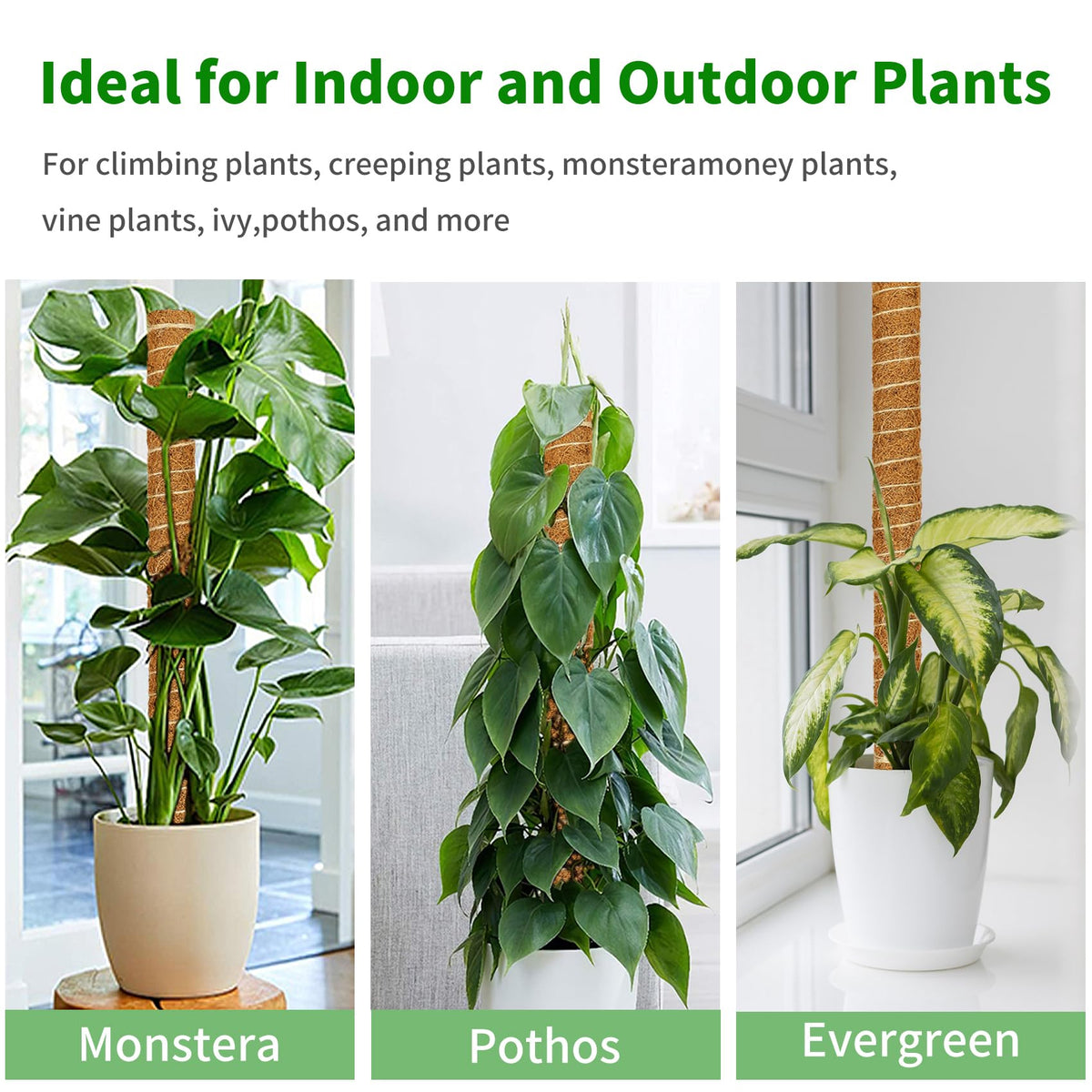 ALENEY Moss Pole, 6 Pack 17inch Monstera Plant Support Stackable Moss Poles for Plants, Coir Totem Pole Tall Moss Pole for Climbing Plants, Sphagnum, Indoor Potted Plants
