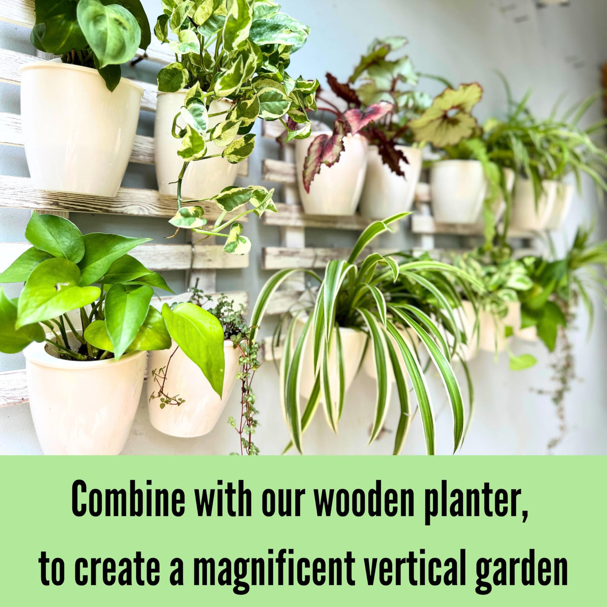 ShopLaLa Bundle- 2 Pack, 23.6 Inch Wooden Plant Holder + 10 Pack, 4 Inch White Self Watering Plastic Pot Modern Hydroponic Vertical Live Garden Display Wall Mount Plant Stand Home Living Room Decor