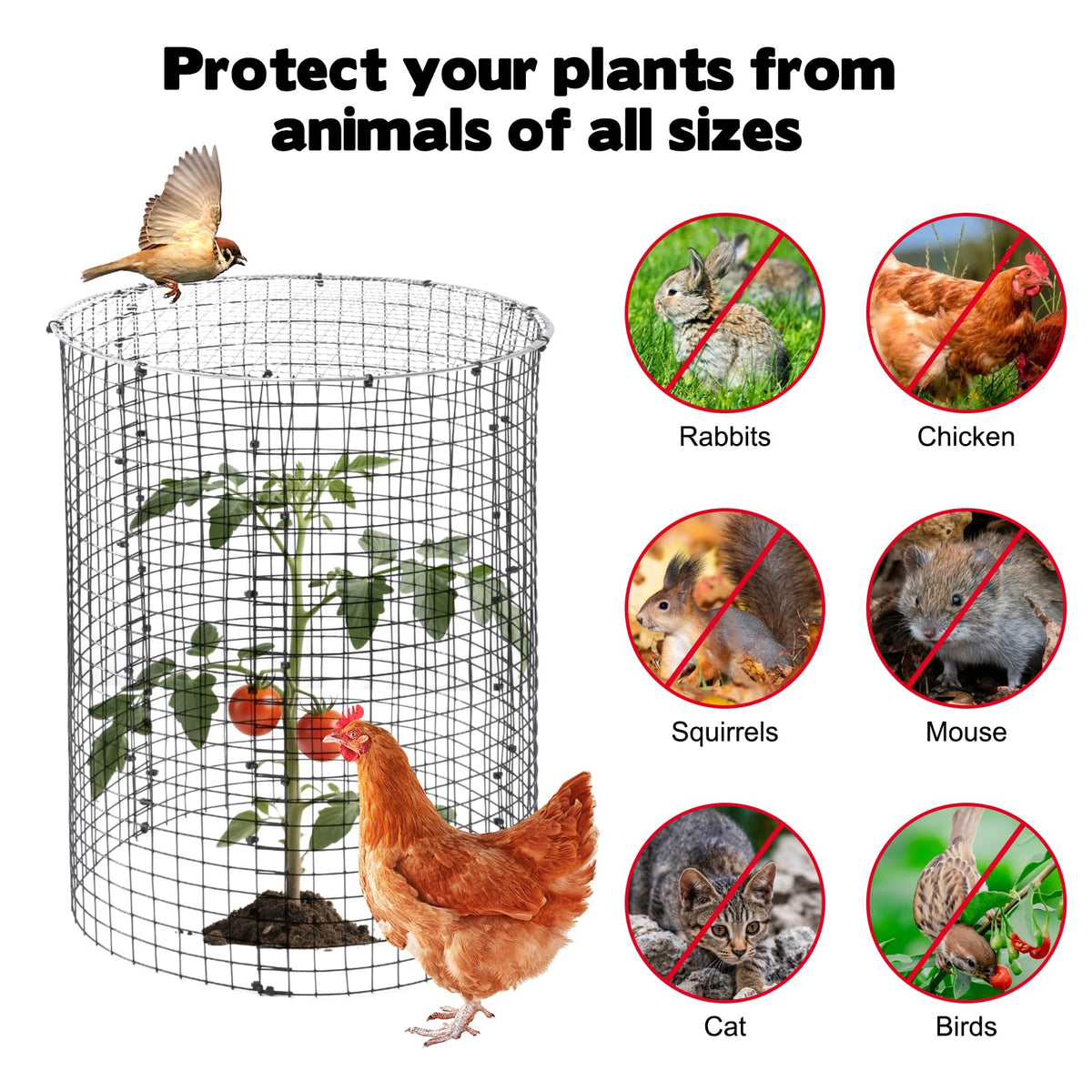 30 Pcs 24'' x 12'' Large Wire Plant Protector from Animals With Metal Cover, 10 Pack Metal Plant Cage Chicken Wire Cloche with 10Pcs Metal Covers to Keep Animals Out, Garden Protection Bunny Barricade