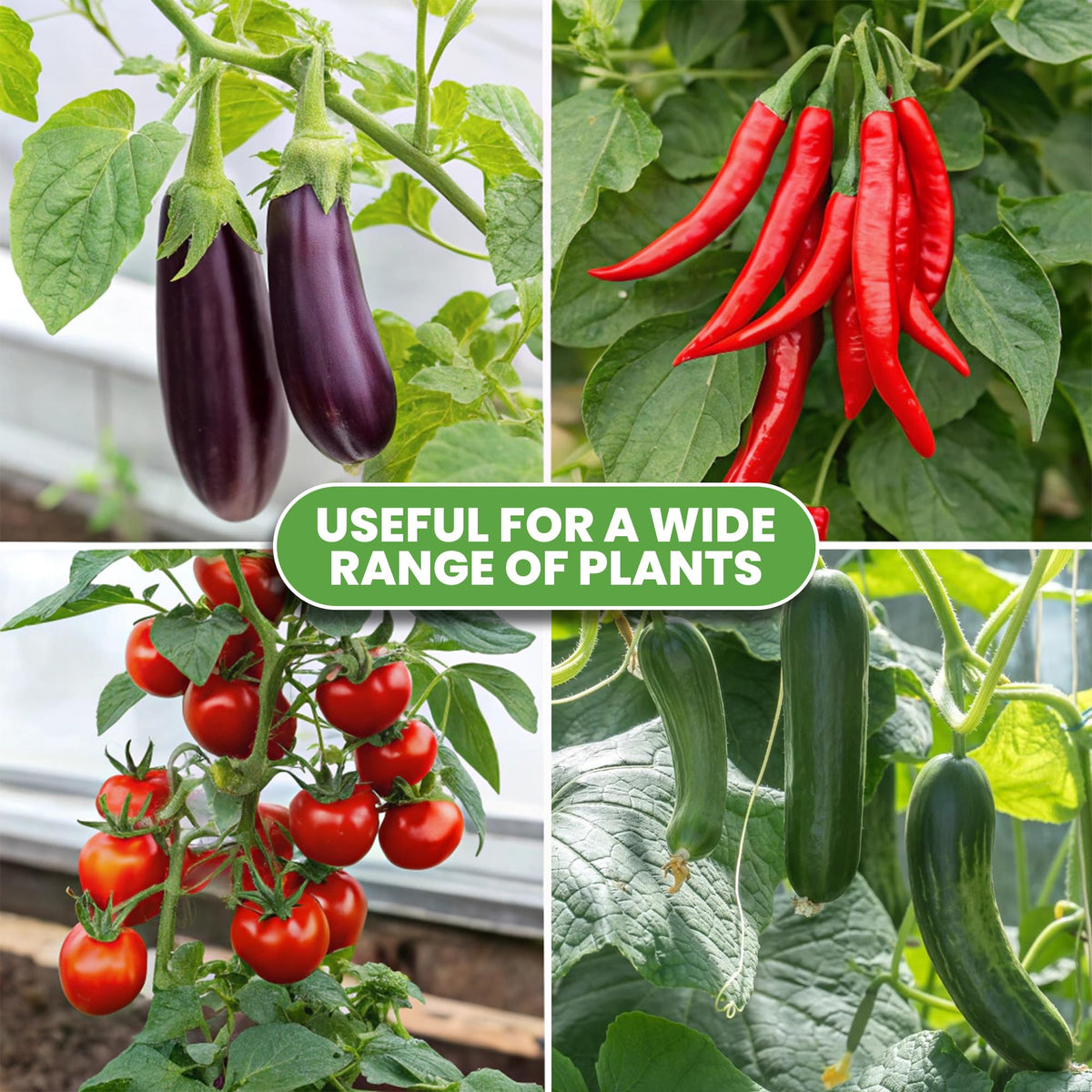 Tomato Cage - Trellis Stakes and Plant Support Structures for Vegetables and Climbing Plants - Tall Tomato Cages for Garden, Pots, Raised Garden Bed Outdoor (3 Pack - Up to 48 Inches)
