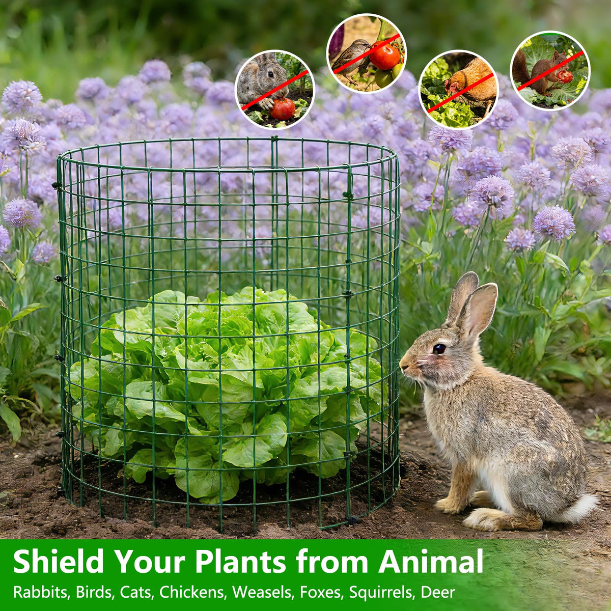 8 Pack Plant Protectors from Animals, 12''x12'' Metal Plant Cages for Outdoor Plants, Garden Plant Protector with Stakes & Zip Ties, Keep Rabbits Squirrels Out, Plant Cage for Flowers Vegetables