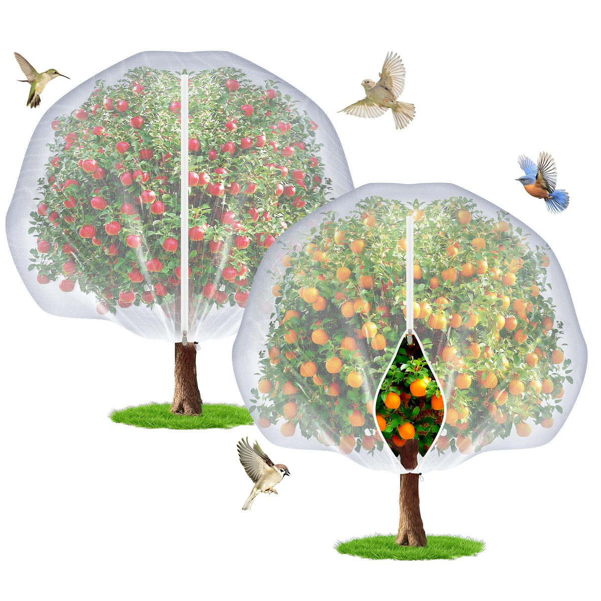 TMFsode 2 Pcs Fruit Tree Netting with Zipper and Drawstring for Garden, 6Ft x 6Ft Blueberry Bush Netting, Protective Garden Mesh Cover for Tomatoes, Fruit Tree, Flowers, Vegetables