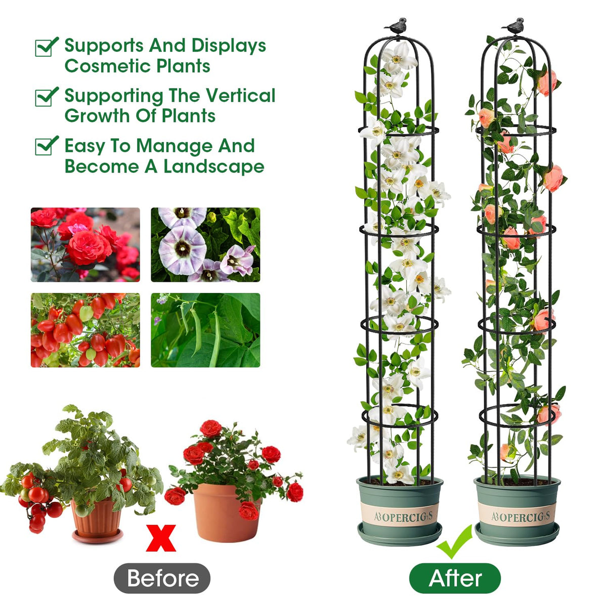 2 Pack Garden Obelisk Trellis for Climbing Plants Outdoor, 6.2 FT Tomato Cage, Rose, Flowers, Grape, Pea, Cucumber Trellis, Rustproof Plastic Coated Metal Plant Support Trellis for Potted Plants