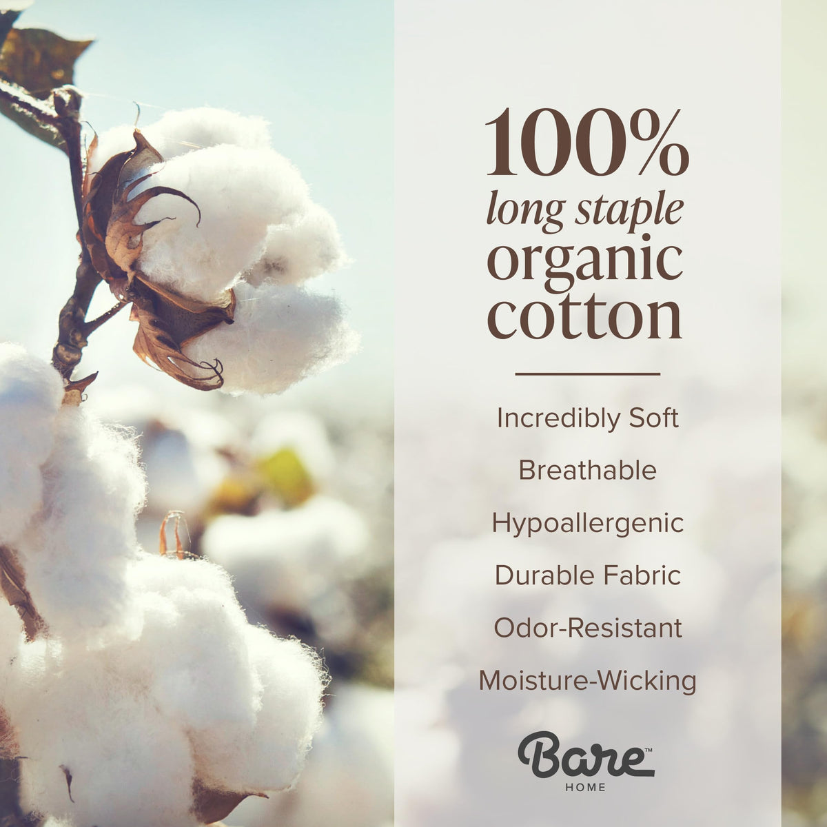 Bare Home 100% Organic Cotton Sateen Fitted Sheet - 400 Thread Count - Smooth Sateen Weave - Breathable & Cooling - Hotel Luxury - Durable Fitted Sheet - Deep Pocket (King, Sand)
