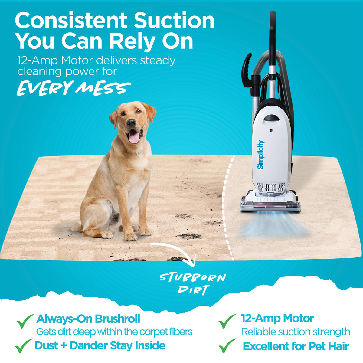 Simplicity Vacuums Allergy Pet Bundle | Bags & Filter Set Bundle | Upholstery Tool Bagged Vacuum Cleaner | Certified Hepa Vacuum | Pet Hair | S20EZM