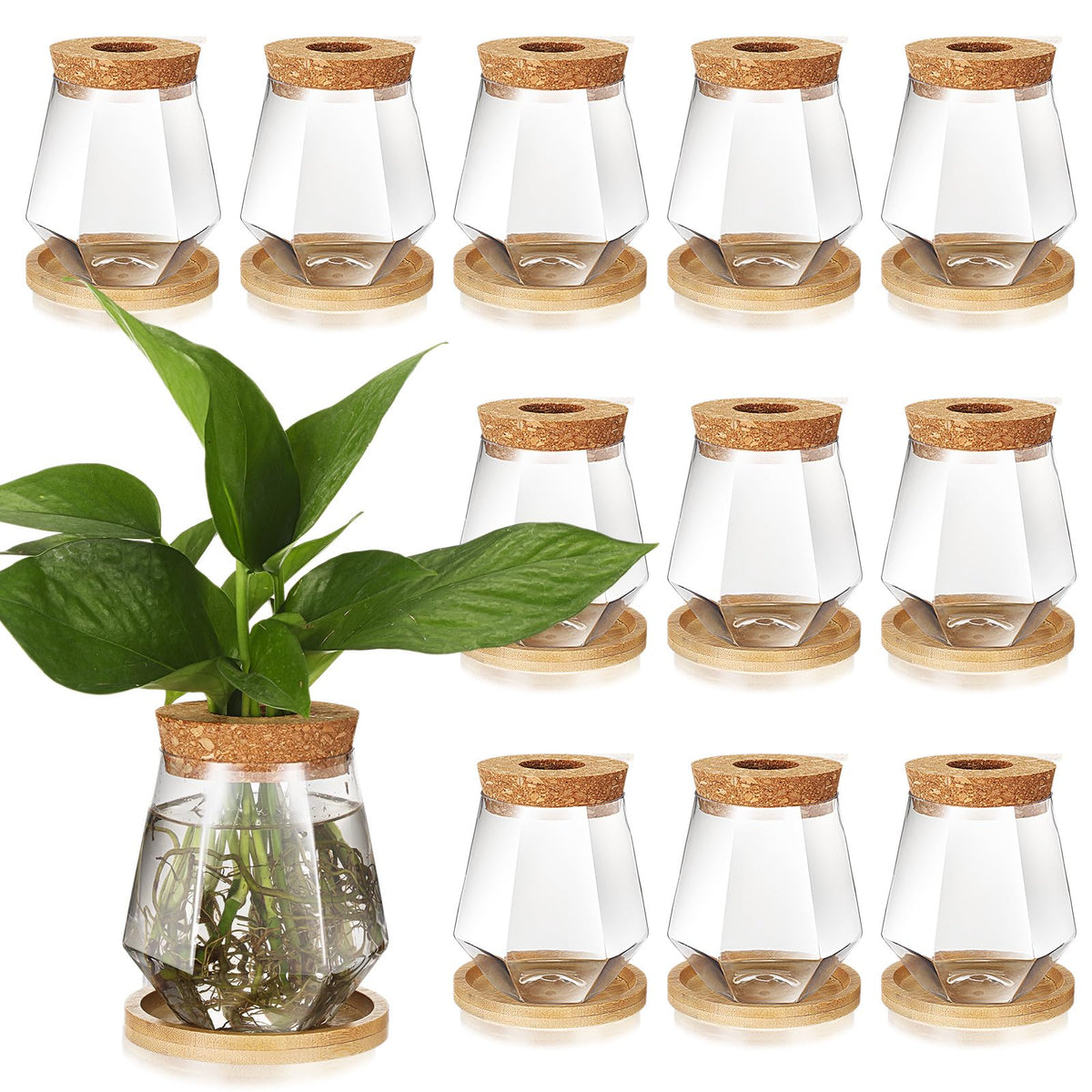 Baderke 12 Packs Propagation Vases for Plants Plastic Plant Propagation with Hole Lid and Bamboo Stand Growing in Water Hydroponic Home Office Desktop Vase Decoration (Cup Style)