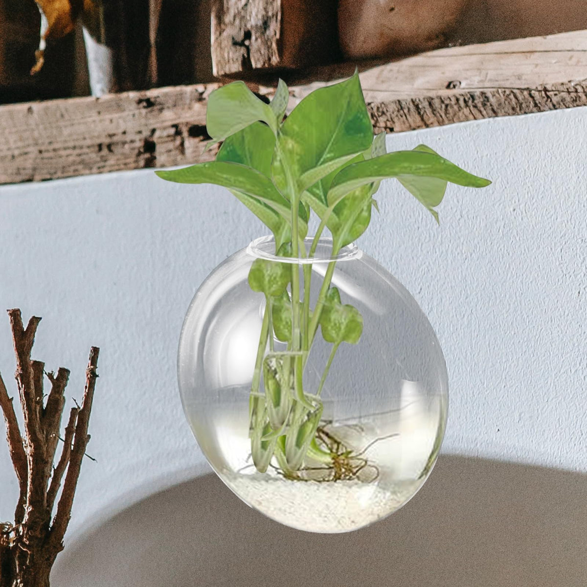 CVUTOVO Wall Mounted Glass Vase for Indoor Plants, Small Hydroponic Planter, Hanging Terrarium Container for Home Décor, 1pcs