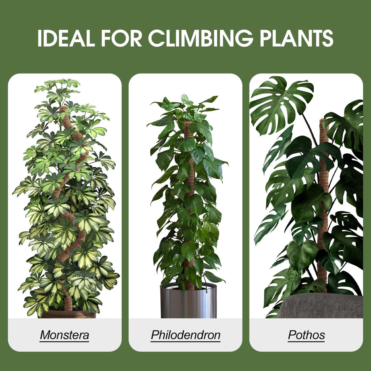 3 Pack Moss Pole 63 Inch Monstera Plant Support Moss Poles Bendable for Climbing Plants Longer Coco Coir Sticks Support Stakes Tall for Indoor Creeper DIY Shape Plants Grow Upwards