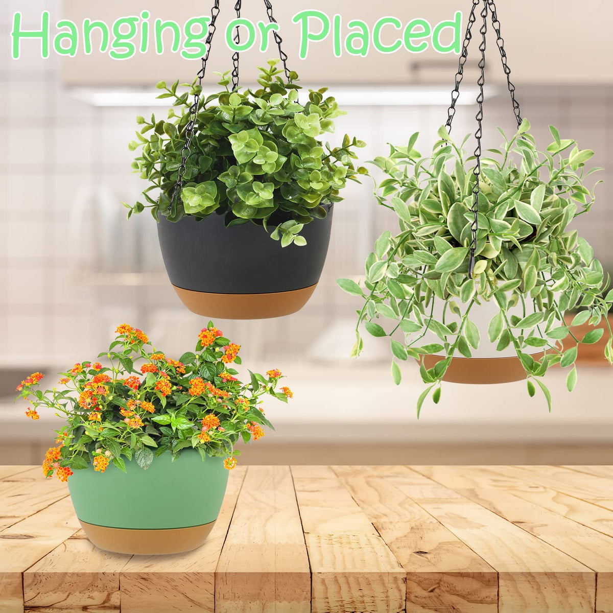 LIYDE 3 Pack Hanging Planters, 8 Inch Small Hanging Pots Self Watering Hanging Planters for Indoor Plants with Drainage Holes and Removable Tray Hanging Basket