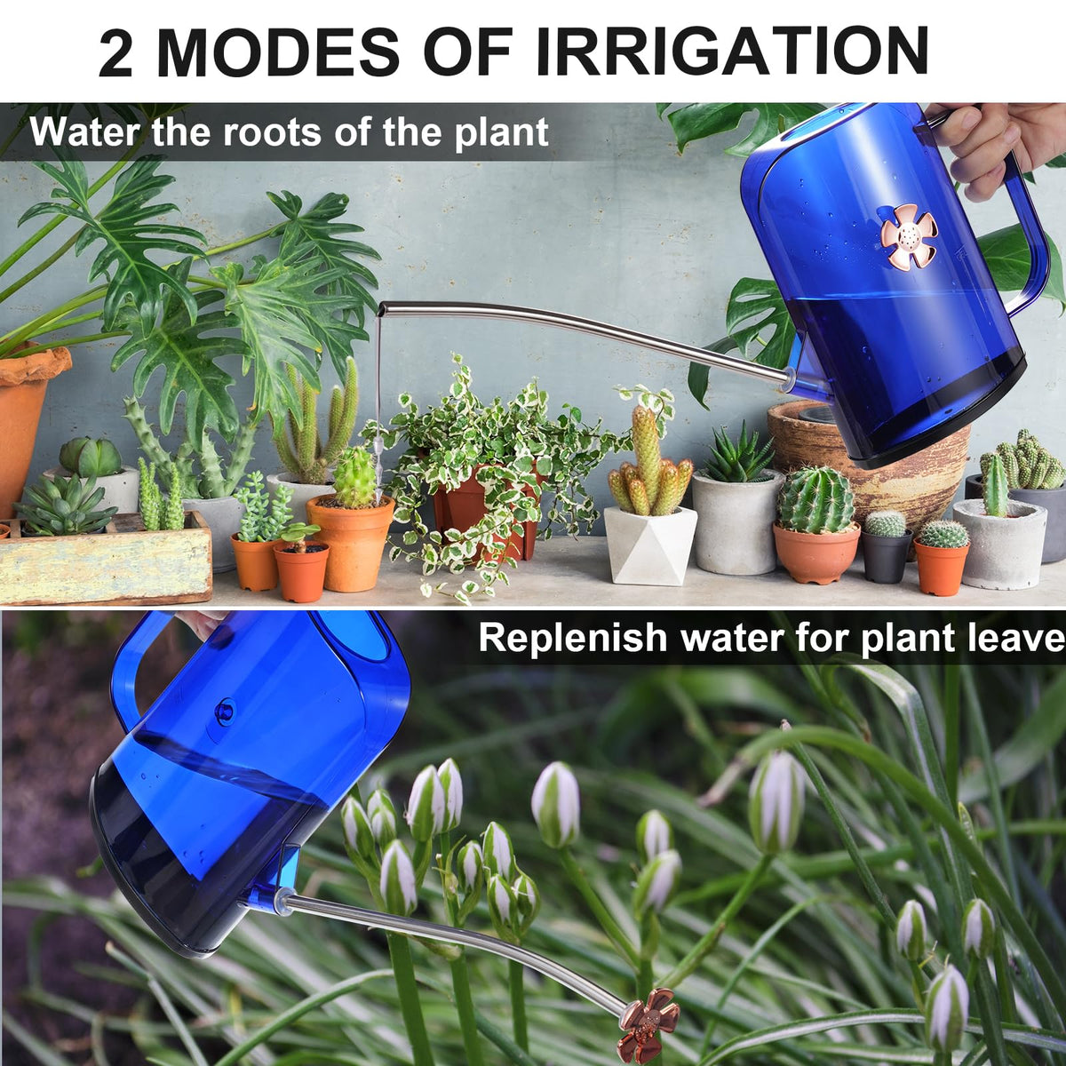 Watering Can Indoor for House Plants Small Watering cans with Long Spout Flower Model Sprinkler Head 1.2L (Blue, 1.2L)