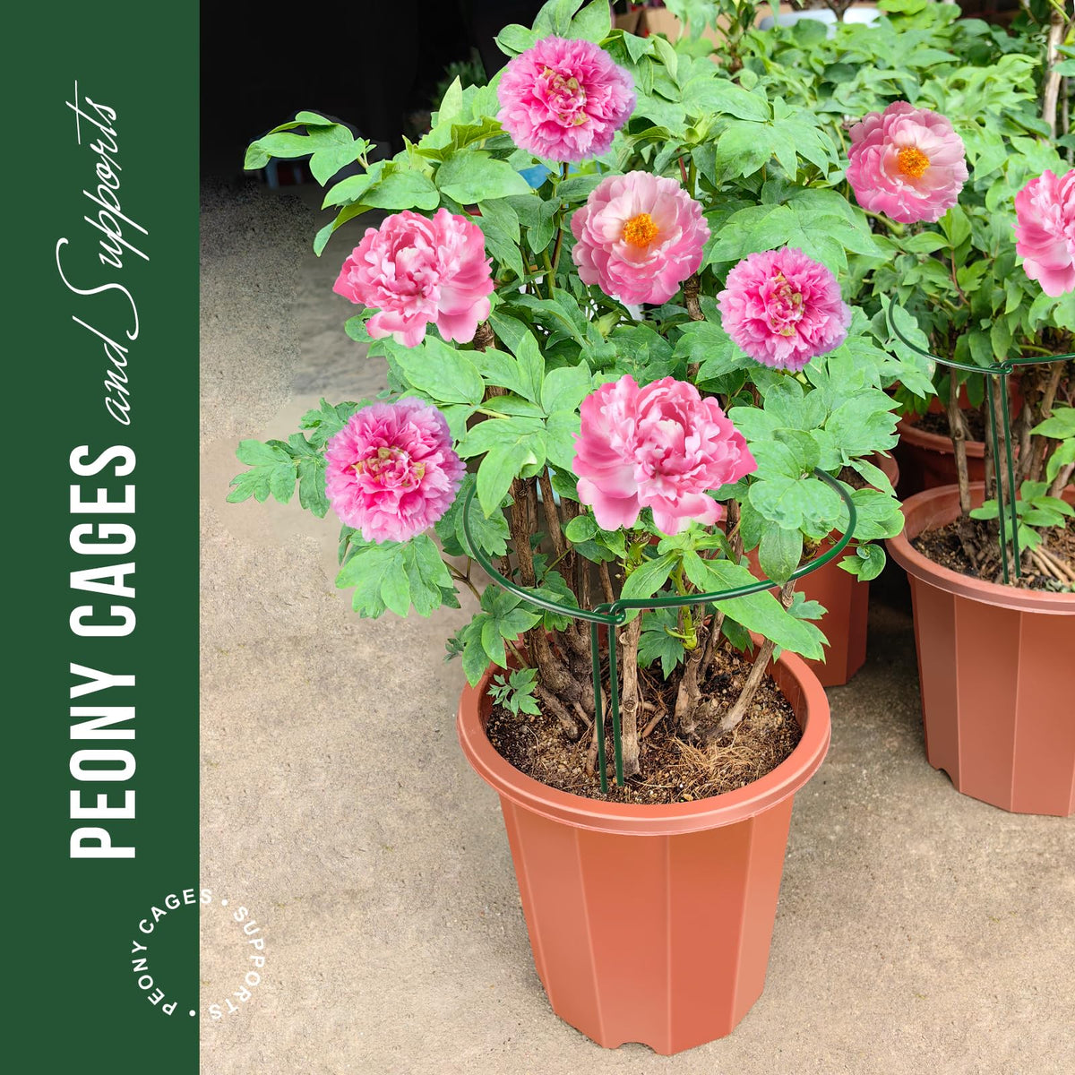 LEOBRO Plant Support Stakes, 4 PCS Plant Stakes, Plant Support, Peony Cages and Supports, Garden Stakes, Plant Stakes for Indoor Outdoor Plants, Hydrangea Support Cage, 10" W x 15.8" H