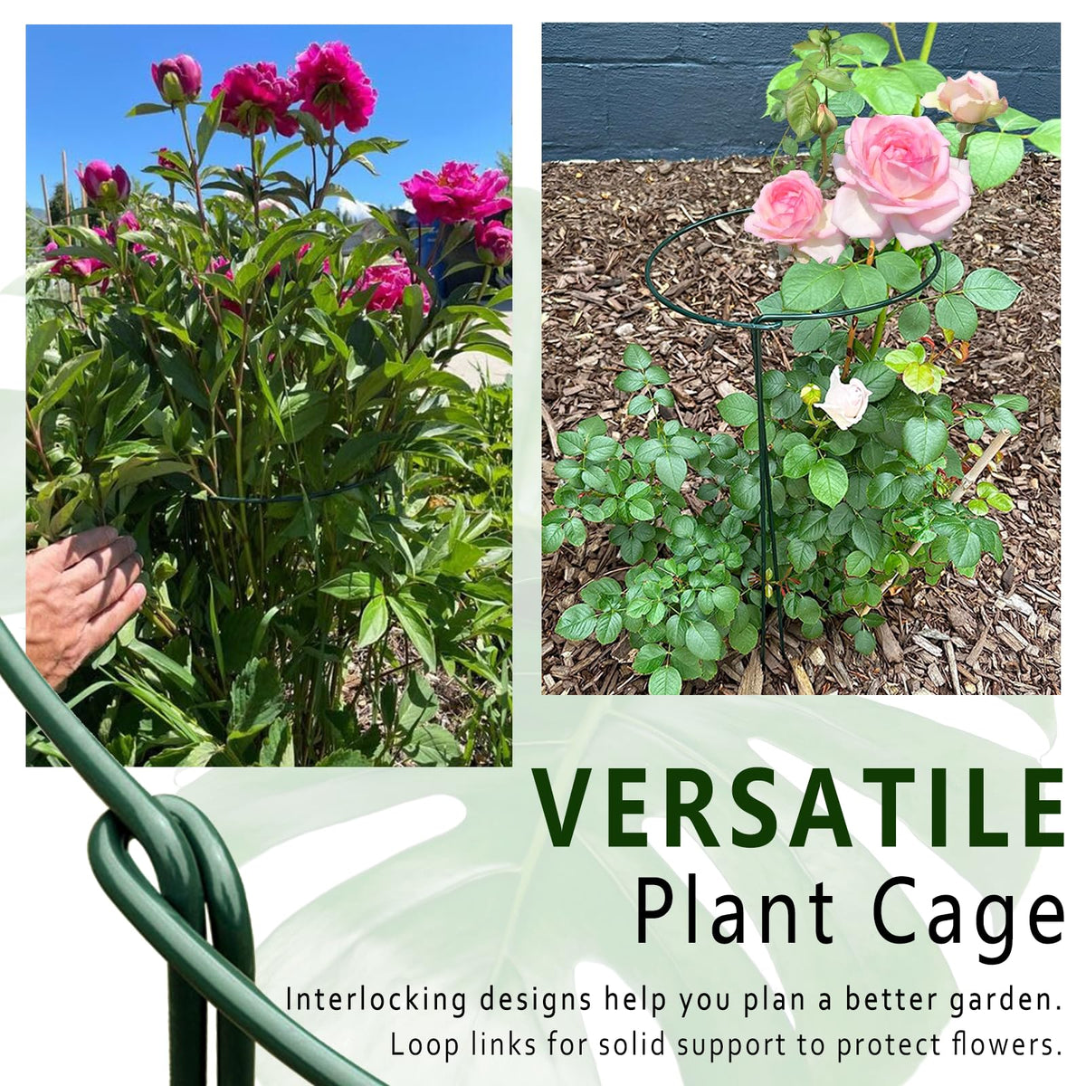 6 Pack Detachable & Assemblable Metal Plant Support Stakes - Garden Support Ring, Tomato Seedling Cage, Young Monstera/Pothos for Growing Indoor/Outdoor (10" W x 16" H)