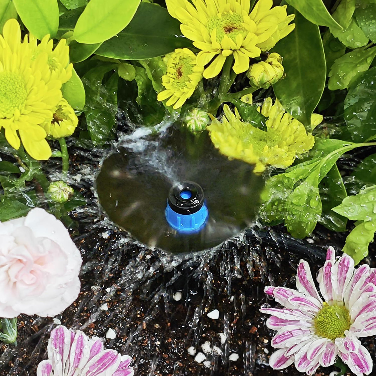 50pcs Drip Irrigation Emitters for 1/4" Drip Tubing Adjustable 360 Degree Fan Shape Water Flow Vortex Drippers for Drip Irrigation with Lock Barbed Irrigation Drip Nozzles for Flower Plants Garden