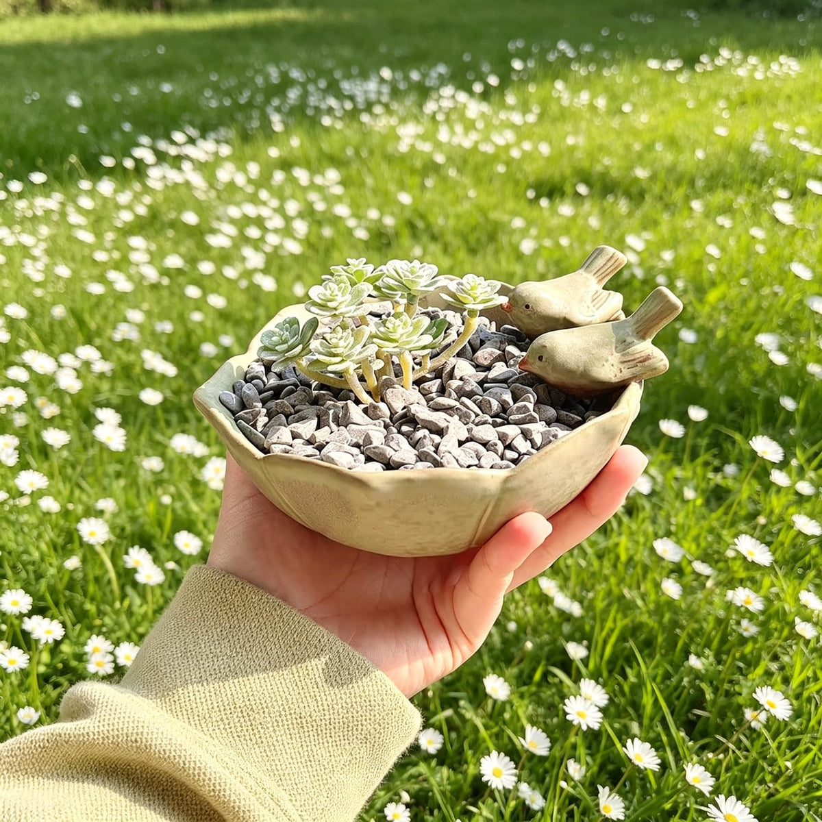 6.2x5.6x2.8in Decorative Flower Pots, Handmade Ceramic Planter, Succulent Planters, Succulent Pots with Drainage Hole for Bonsai, Small Plants & Home Decor (Dahlia Bird Design).