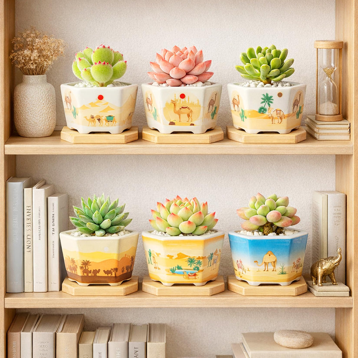 Succulent Pots, 6 Pack Floral Plant Pots with Drainage Tray, 3.7" Small Flower Pots for Indoor Plants, Ceramic Succulent Planters for Cactus, Home Office Decor