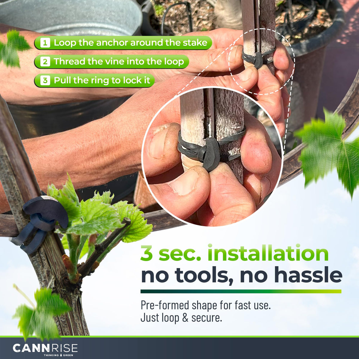 Anchor Bands for Trellising – 110-Pack 5 cm/1.96 in Rubber Vine Ties, UV-Protected Bands: Grapevines, Trees & Climbing Plants – Tool-Free Loop-and-Anchor Design for Install, Weatherproof