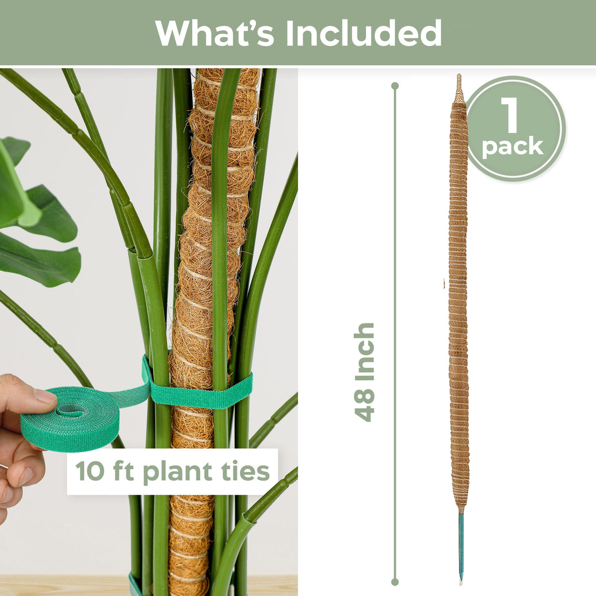 K-Brands 48'' Bendable Moss Pole Monstera Plant Support - Coconut Palm Fiber - Brown - Rectangular - Climbing Plant Support Structure