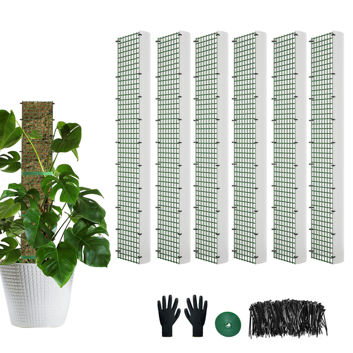 60"/40"/24" Metal Moss Pole, D Shape Sphagnum Moss Pole, Moss Poles for Climbing Plants, Monstera, Indoor Climbing Plants (6Pcs 24")