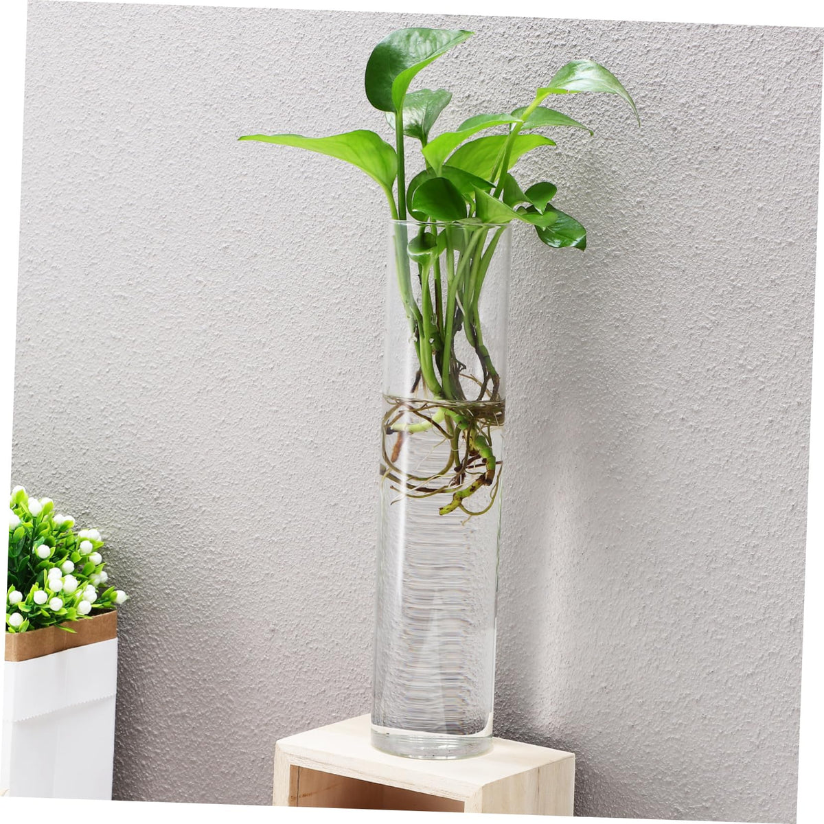iplusmile 2pcs Hanging Wall Planters Glass Vases for Indoor Plants Cylindrical Propagation Stations Clear Terrarium Holders Home Office Decor