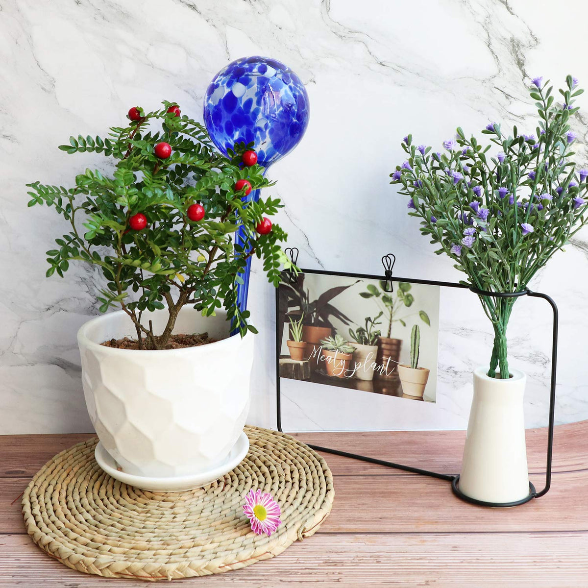 Brajttt Plant Watering Globes Automatic Glass Watering Bulbs, Glass Ball Planter, Decorative Garden Watering Plant Watering Bulbs with 2-Pack, 3.35 inch Diameter