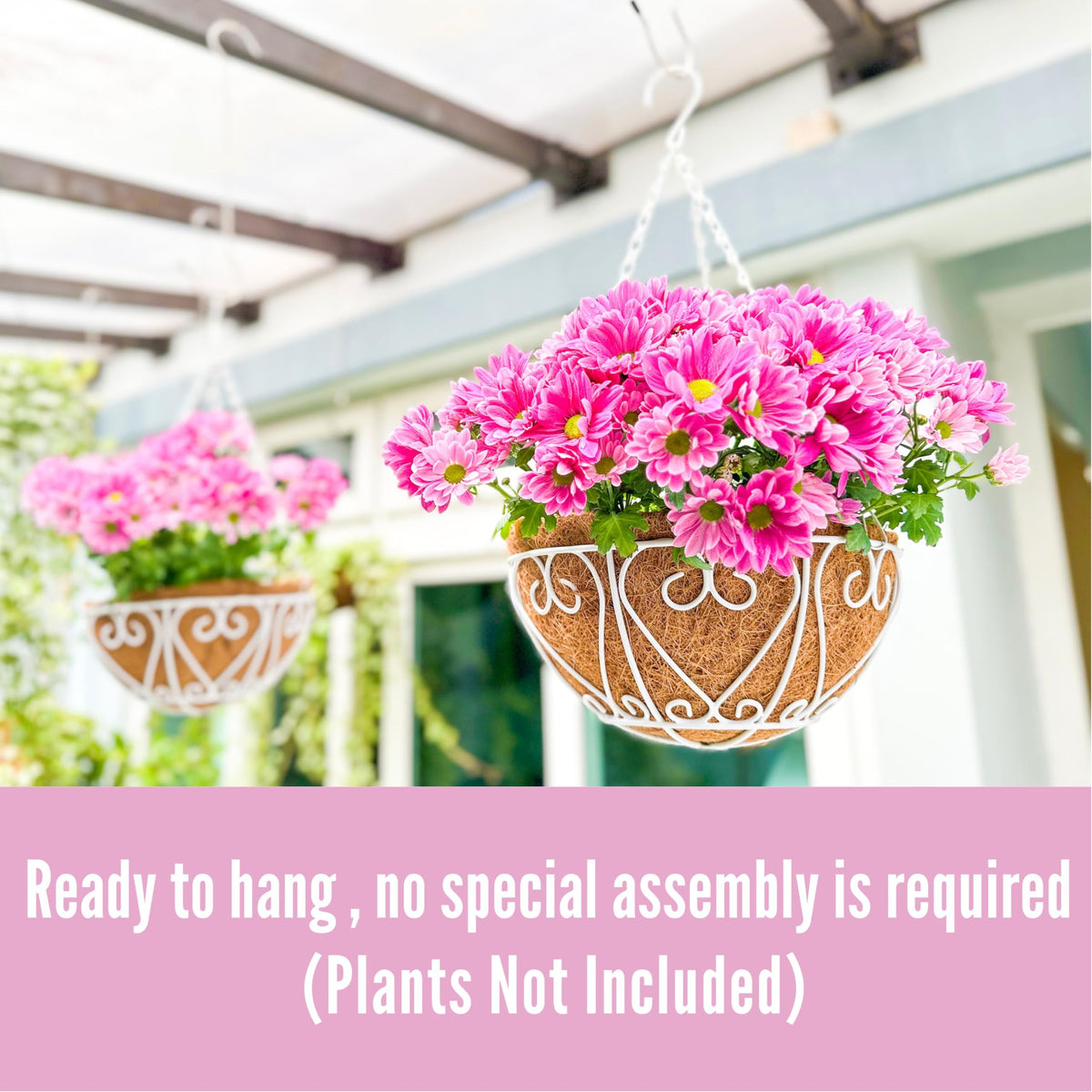 LaLaGreen Hanging Baskets for Plants (2 Pack, 12 Inch) Hanging Flower Pots with Coco Liner, White Metal Wire Round Basket Plant Holder with Hanger Hook Chain Outdoor Deck Patio Balcony Garden Decor