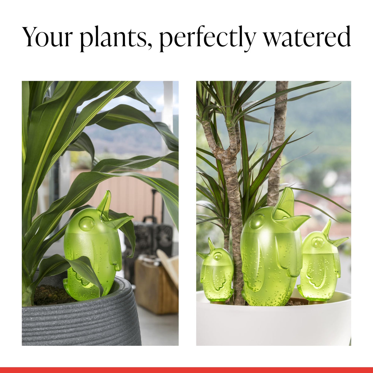 SCHEURICH Boerdy M Set of 4 Self Watering Bird Figures - Transparent Green Automatic Plant Watering Globes - for Indoor/Outdoor Use - UV-Resistant & Easy Monitoring - 4-Day Hydration